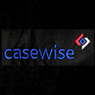 embroidery-casewise